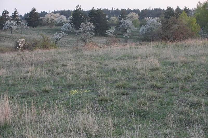 Pvodn obrzek